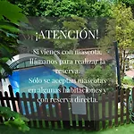 Javier 4*