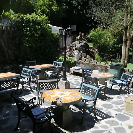 Javier - Alojateisla