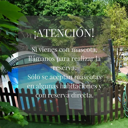 Javier - Alojateisla 3*