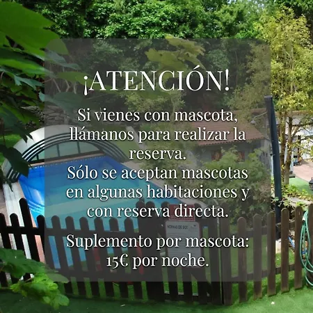 Guest house Javier Isla