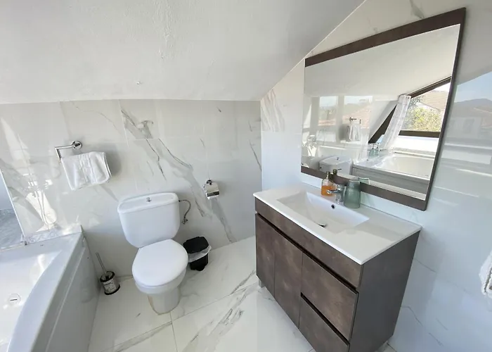 Javier - Alojateisla