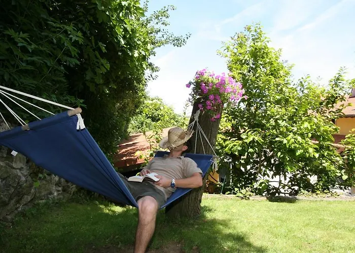 Javier - Alojateisla Isla