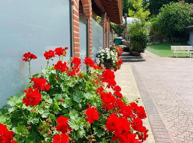 Javier - Alojateisla 3*