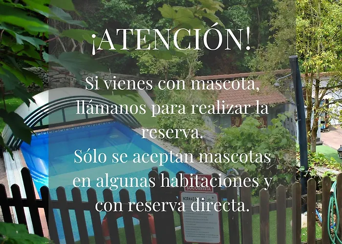 Javier - Alojateisla 3*